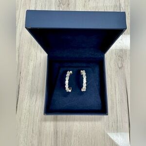 Elegant Silver Earrings